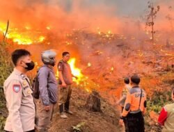 Kebakaran Hanguskan 18 Hektare Lahan Perhutani di Jampangtengah Sukabumi