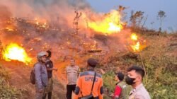 Karhutla di Sukabumi Sebulan Terakhir, Sedikitnya 30 Hektare Lahan Terbakar