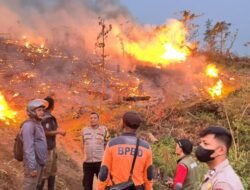 Karhutla di Sukabumi Sebulan Terakhir, Sedikitnya 30 Hektare Lahan Terbakar