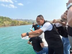 Polres Sukabumi Lepas 59.980 Benih Lobster ke Laut Sangrawayang