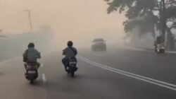 Lebih dari 3 Juta Warga Terpapar Asap Karhutla, Kasus ISPA Naik 78 Persen