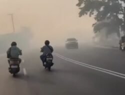 Lebih dari 3 Juta Warga Terpapar Asap Karhutla, Kasus ISPA Naik 78 Persen