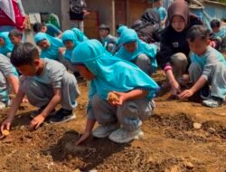 Belajar Sambil Bertani, Anak-anak TA Aisyiyah Muara Hati Diajak Tanam Kentang