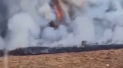 Alun-alun Suryakencana Terbakar, Pendakian Gunung Gede Pangrango Ditutup Sementara