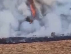 Alun-alun Suryakencana Terbakar, Pendakian Gunung Gede Pangrango Ditutup Sementara