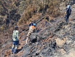 Asap Kembali Muncul di Kawah Wadon Gunung Gede Pangrango, 35 Personel Dikerahkan