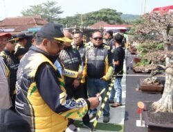 Bonsai Tak Sekadar Hobi, Sukabumi Dorong Jadi Penggerak Ekonomi Kreatif