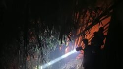Lahan Belakang SMAN 2 Sukabumi Terbakar, Tiga Unit Mobil Damkar Dikerahkan