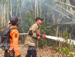 Kebakaran Rumpun Bambu di Cibadak Sukabumi Nyaris Merembet ke Permukiman