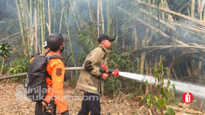 Kebakaran Rumpun Bambu di Cibadak Sukabumi Nyaris Merembet ke Permukiman
