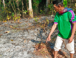 Tragis, Lansia di Cidadap Sukabumi Meninggal Saat Padamkan Api