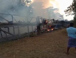 Kandang Ayam Dua Lantai di Waluran Ludes Terbakar, Diduga Dipicu Korsleting Listrik