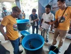 Mini Kontes Nila Pertama di Sukabumi Digelar, Ada Ikan Ukuran 6 Kilogram