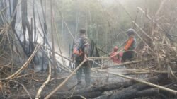 Kebakaran Lahan di Cibadak Sukabumi, Api Merembet ke Dekat Permukiman