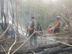 Kebakaran Lahan di Cibadak Sukabumi, Api Merembet ke Dekat Permukiman