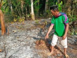 Bakar Sampah Berujung Maut di Cidadap Sukabumi, Lansia Meninggal Saat Padamkan Api