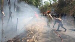 Api Sempat Kembali Muncul, Lahan 2.000 Meter Persegi di Cibadak Sukabumi Terbakar