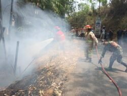 Api Sempat Kembali Muncul, Lahan 2.000 Meter Persegi di Cibadak Sukabumi Terbakar