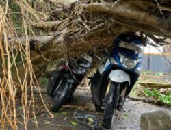 5 Bencana Terjadi di Kabupaten Sukabumi, Hujan dan Angin Kencang Picu Kerusakan Rumah hingga Kendaraan
