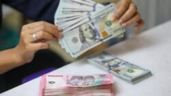 Kabar Baru untuk Pengusaha Tambang, DHE Bisa Dapat Relaksasi dengan Syarat Ini