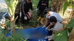 Perempuan Tanpa Identitas Ditemukan Tewas di Bawah Pohon Pisang di Cisolok Sukabumi