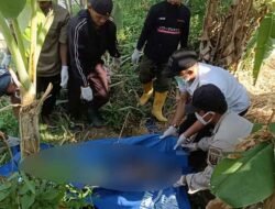 Perempuan Tanpa Identitas Ditemukan Tewas di Bawah Pohon Pisang di Cisolok Sukabumi