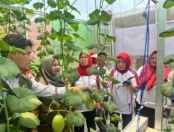 Pertamina Patra Niaga RJBB Bersama Masyarakat Kembangkan Pertanian Hidroponik untuk Perkuat Ketahanan Pangan