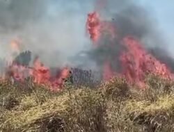 Pembakaran Tak Bertanggung Jawab Picu Kebakaran Lahan di Cibarehong Surade