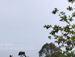 Cuaca Sukabumi Hari Ini, Senin 19 Oktober 2026